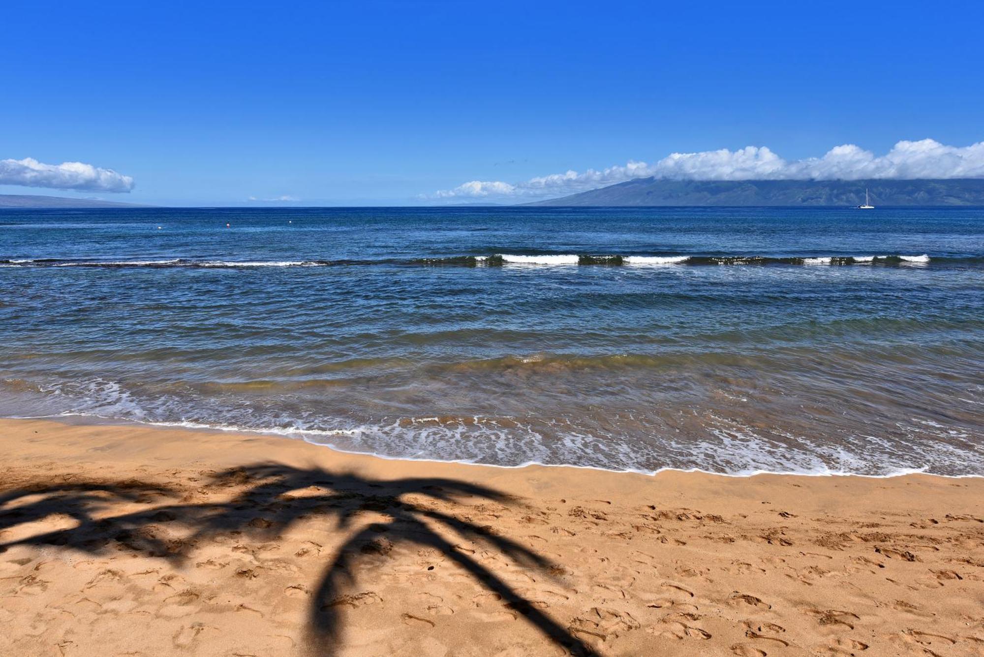 Kaanapali Shores 160 - Sleep Steps Away From The Ocean Kahana Exterior foto