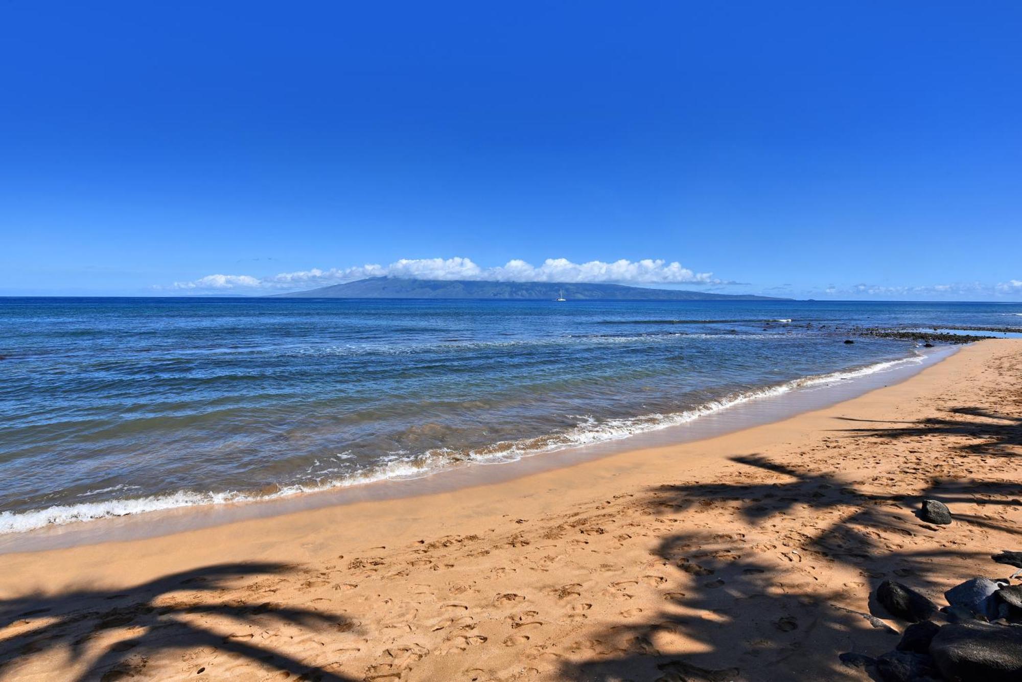 Kaanapali Shores 160 - Sleep Steps Away From The Ocean Kahana Exterior foto