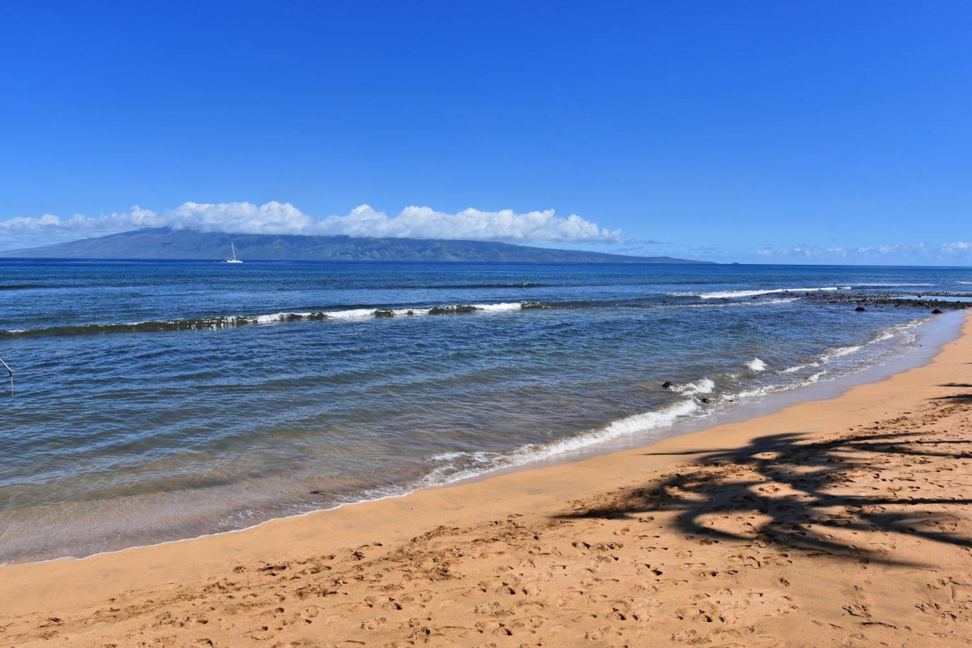 Kaanapali Shores 160 - Sleep Steps Away From The Ocean Kahana Exterior foto