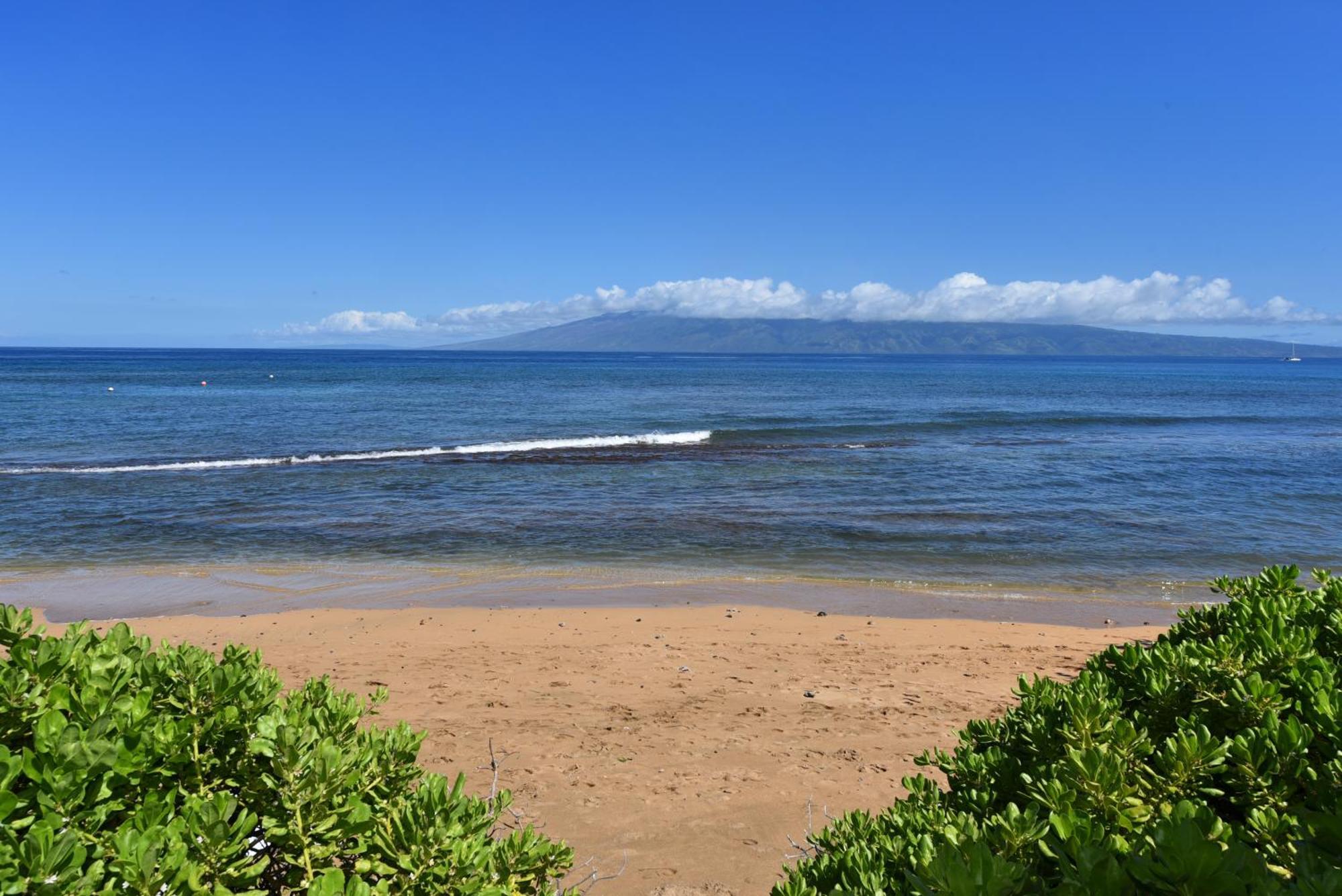 Kaanapali Shores 160 - Sleep Steps Away From The Ocean Kahana Exterior foto